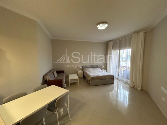 Newly Furnished Studio Pool/Gym Access