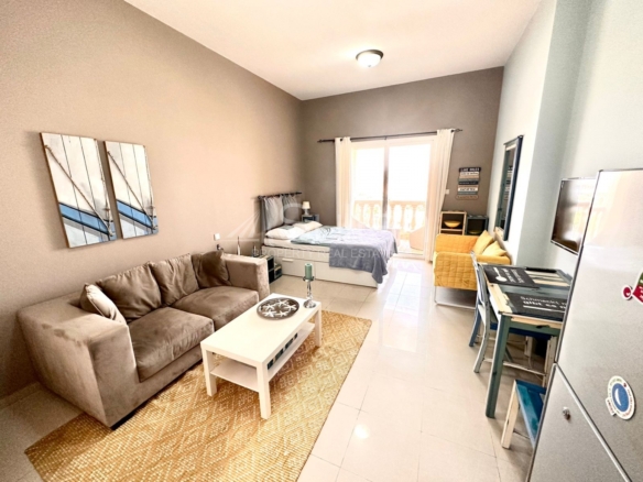 Amazing Upgraded Studio / Swimming Pool View